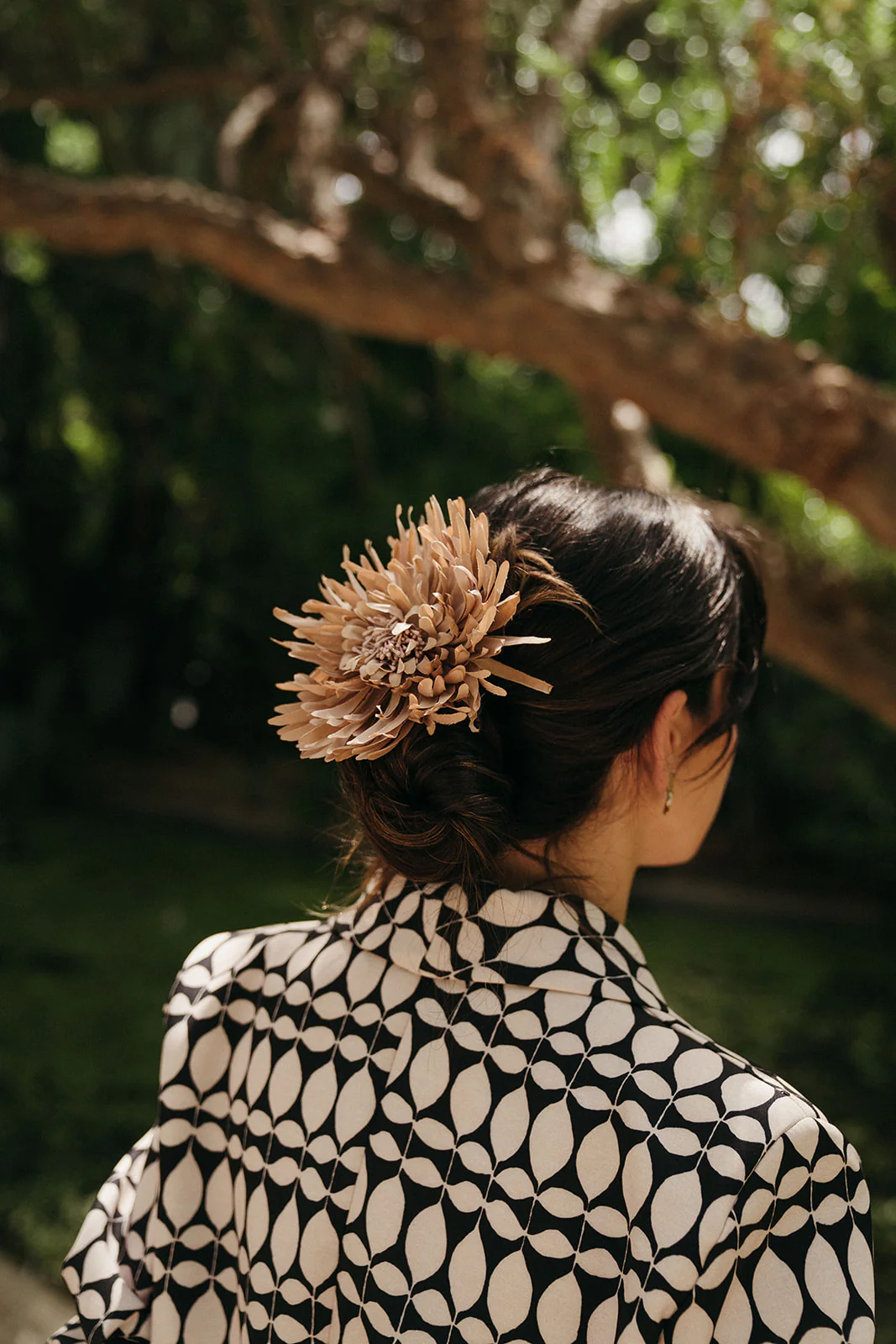 Flor Nenúfar - Image 4
